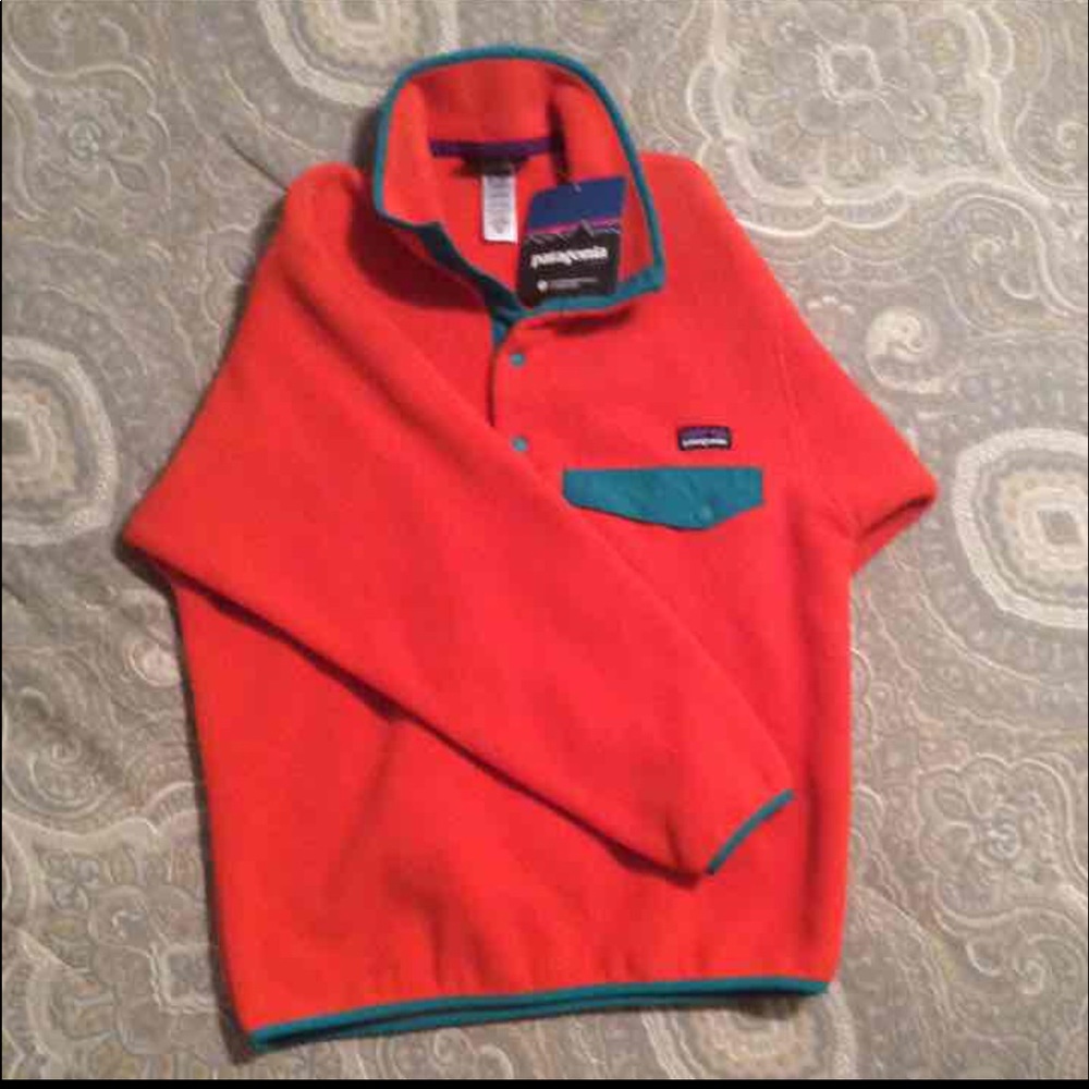 NWT Patagonia Synchilla Pullover